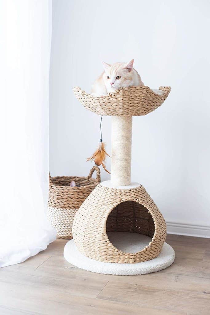 Cute sales cat condo