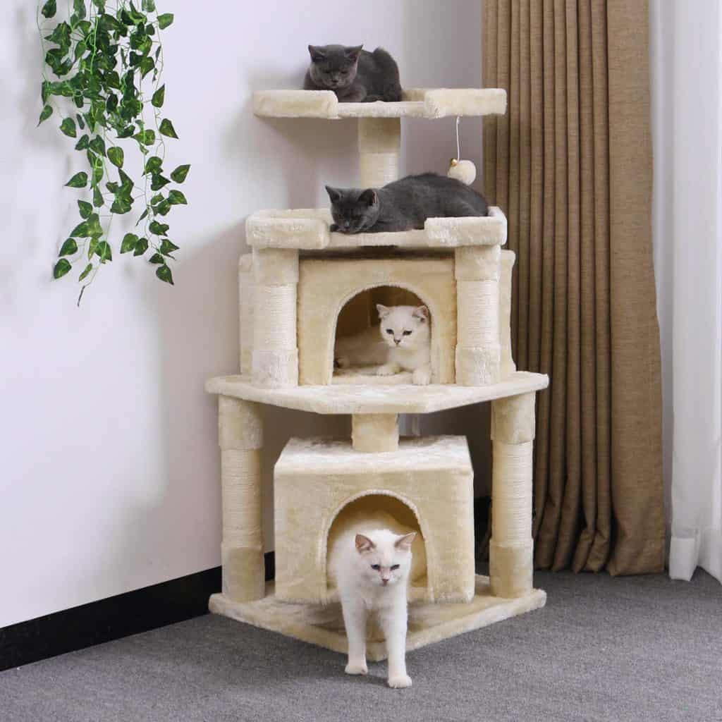 cutest cat condos on amazon