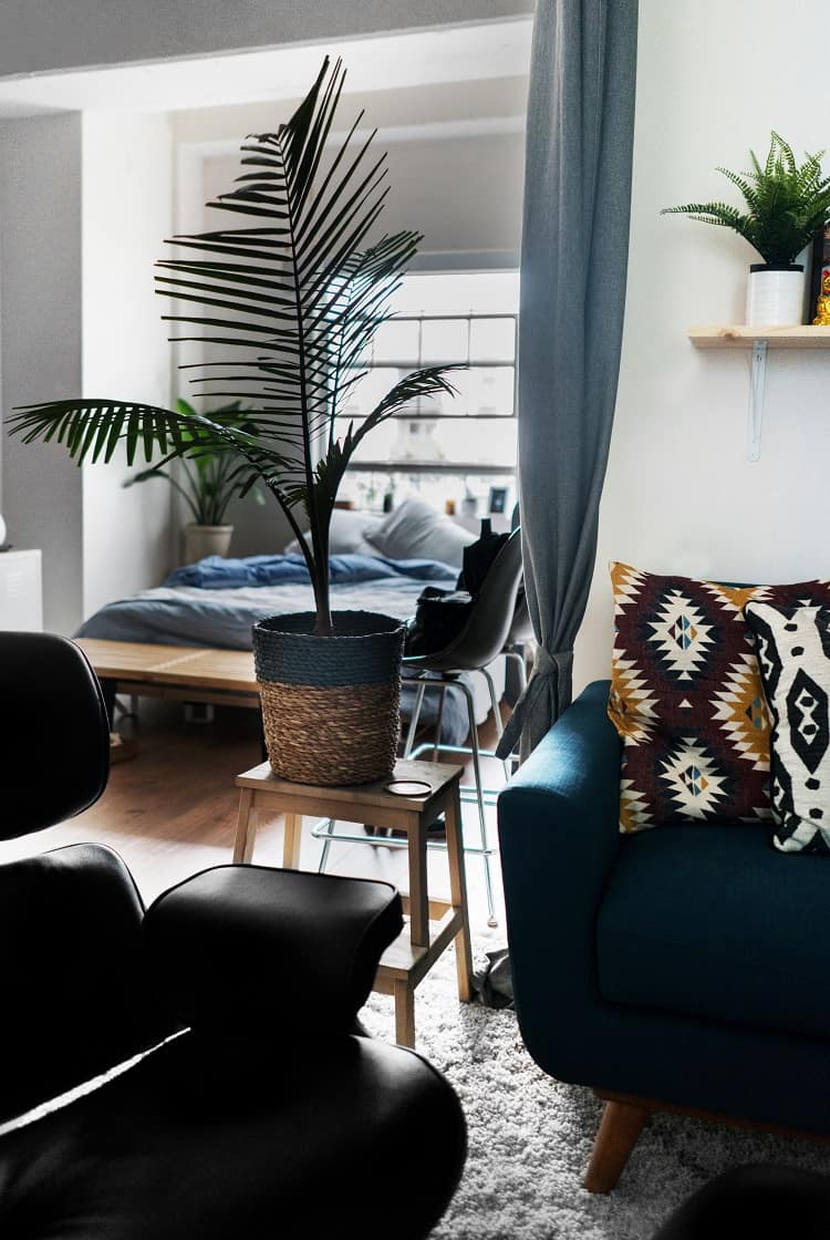 small apartment decor tips