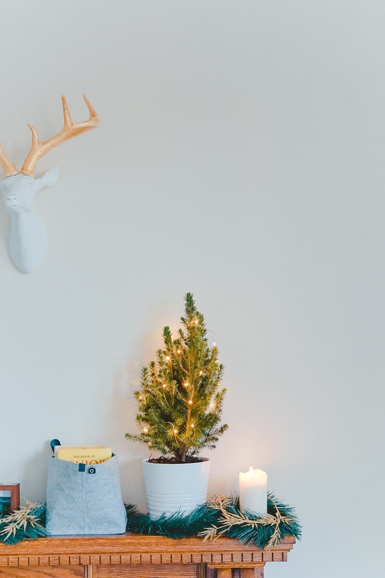 christmas decor ideas 